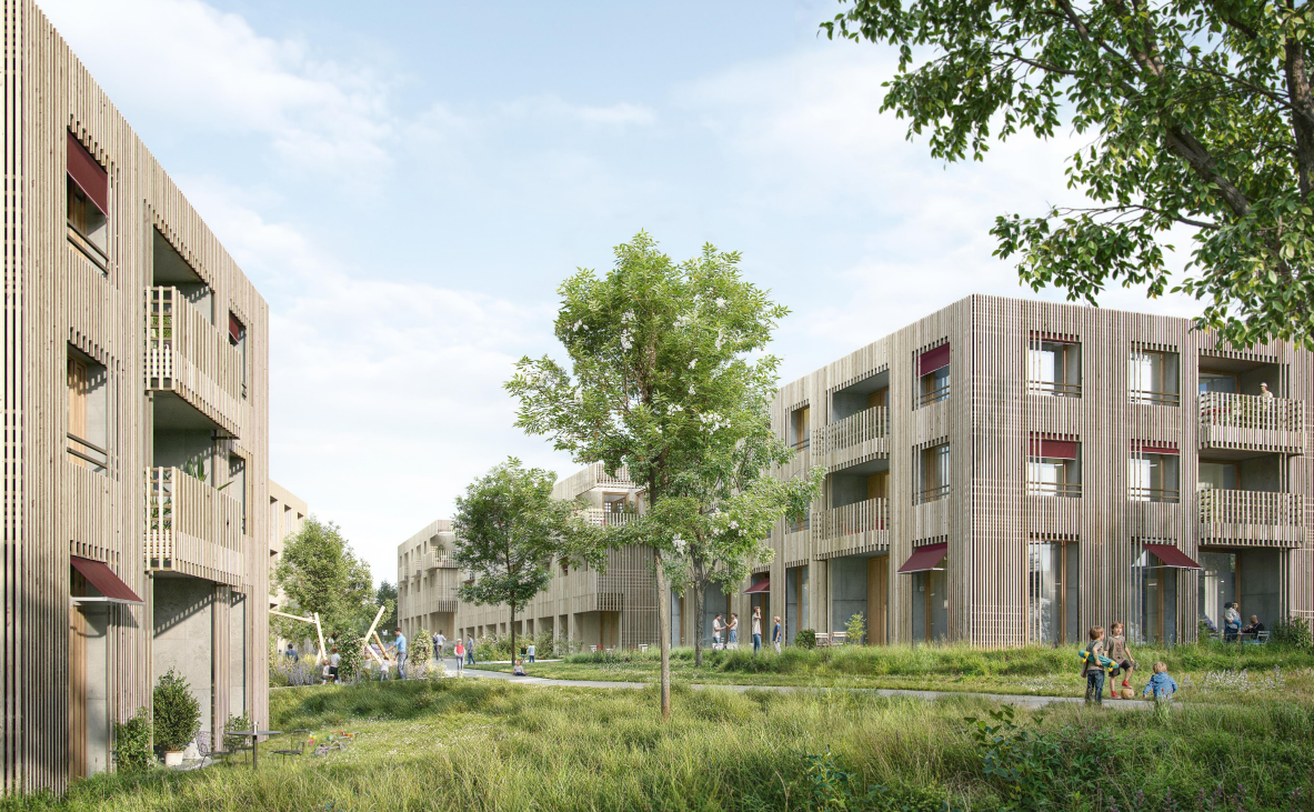 Studienauftrag Haltenrain Studienauftrag Haltenrain