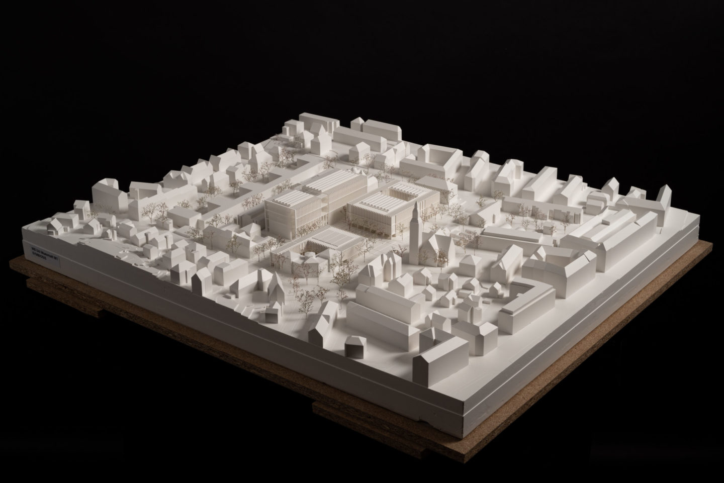 Masterplan Uni Muesmatt, M1, Universität Bern